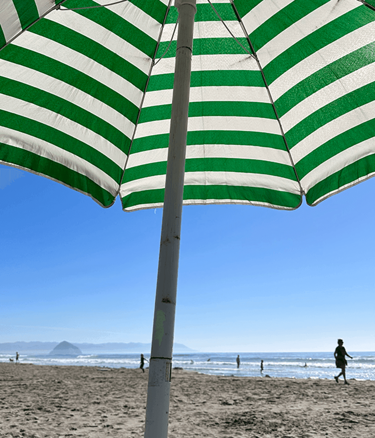 California dreaming.